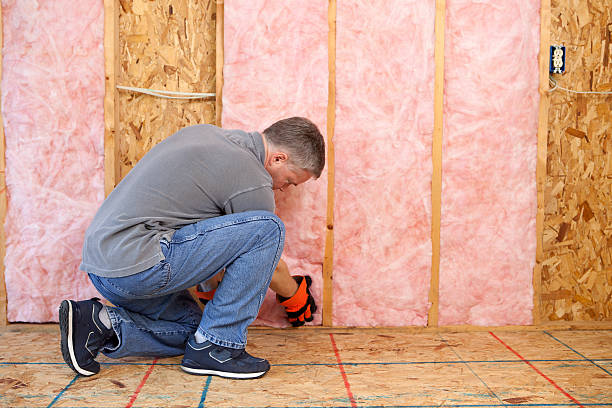 Best Insulation Maintenance and Repair in Toccoa, GA