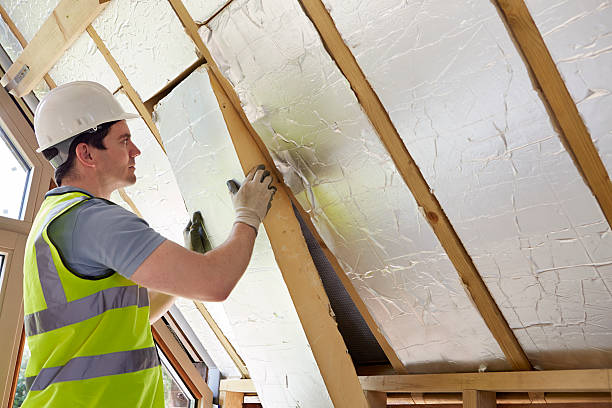 Best Residential Insulation in Toccoa, GA