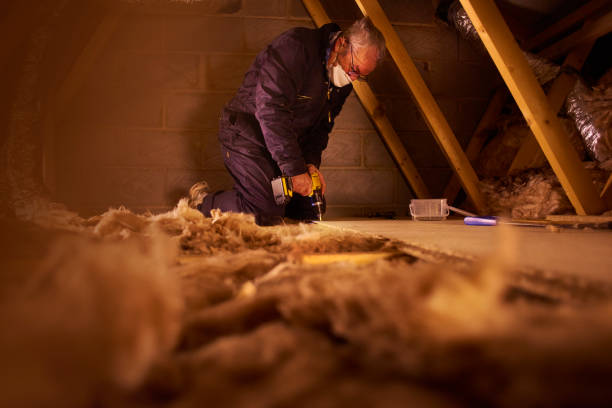 Best Insulation Installation Services in Toccoa, GA